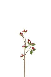 Tak Bessen Fijn Plastiek Rood/Groen Small